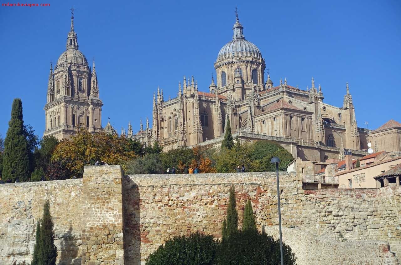 Panorámica del Huerto de Calixto y Melibea y de las Catedrales desde San Polo