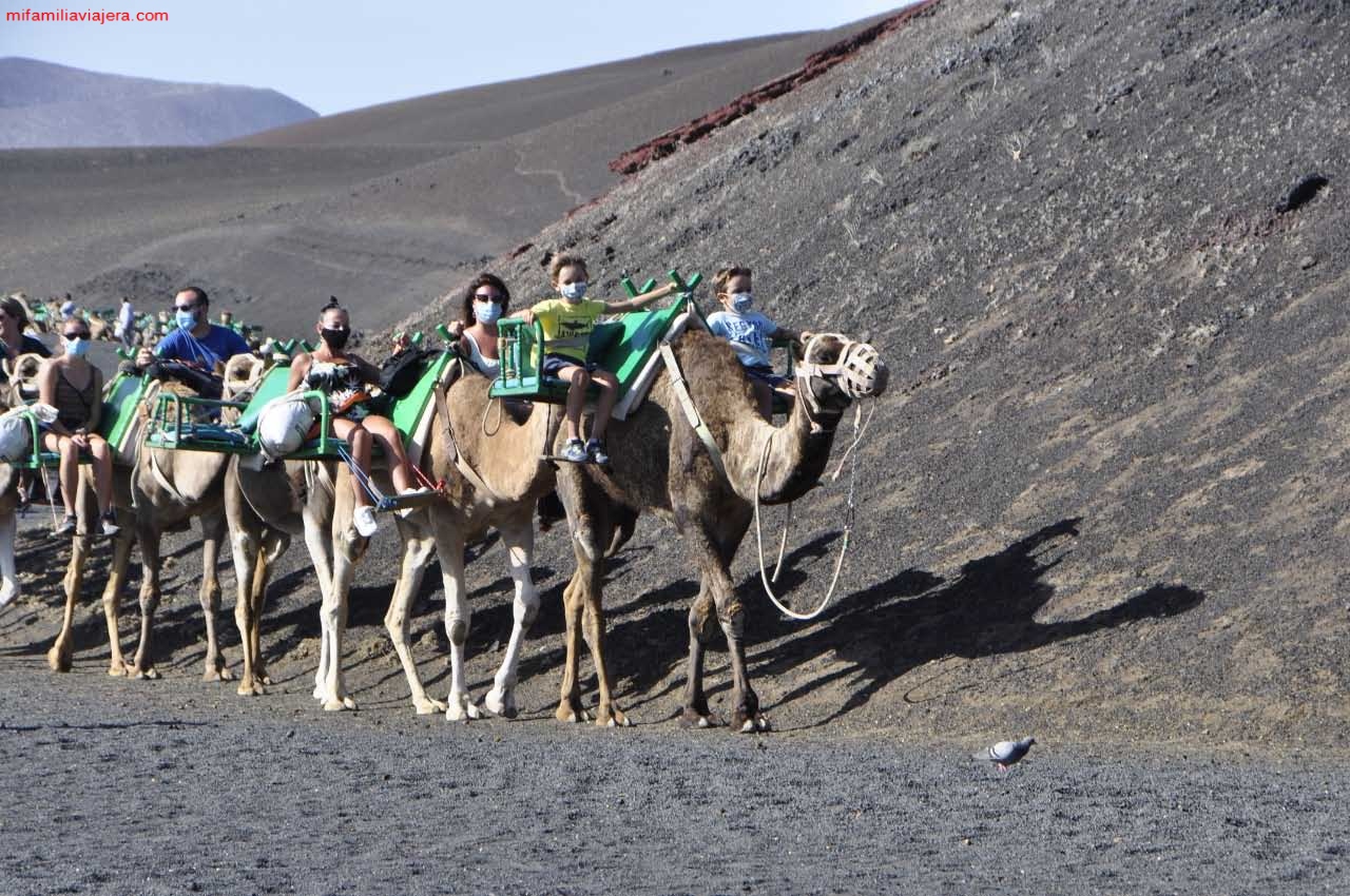 Echadero de los camellos
