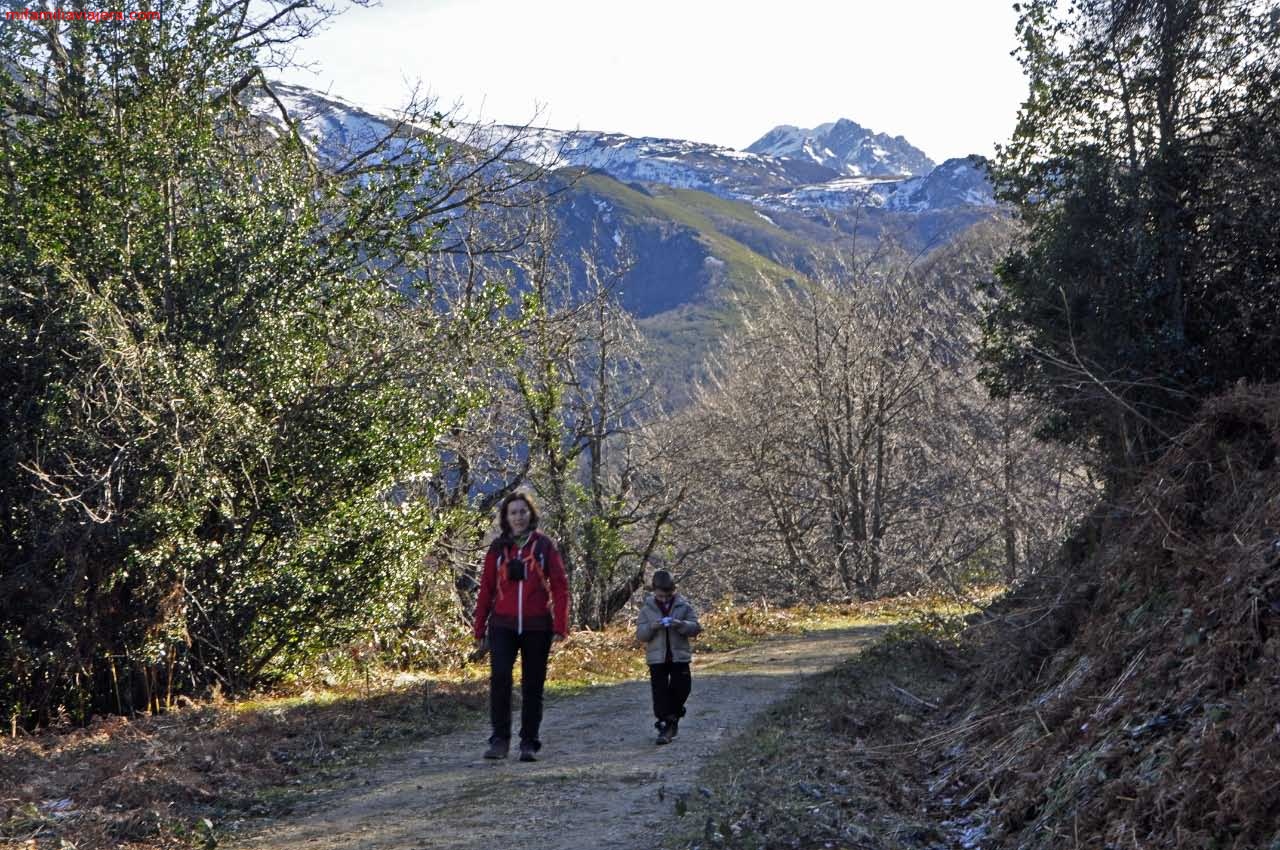 Ruta Hayedo de Montegrande y Cascada del Xiblu