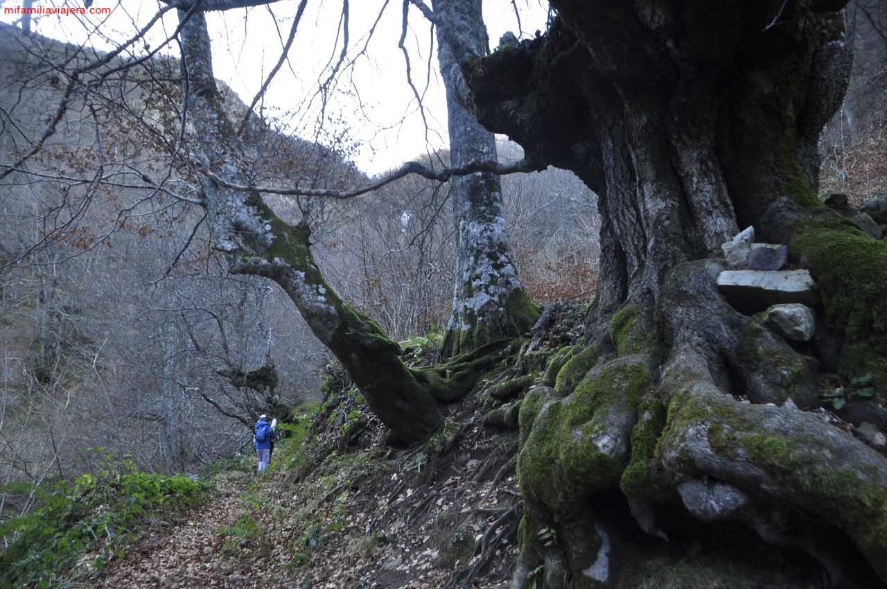 El sendero de acceso a la cascada del Xiblu es estrecho y sombrío