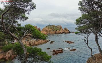 De Viaje por España, ¡nos vamos todos! Vistas por el camino de acceso a Cala Aigua Xélida
