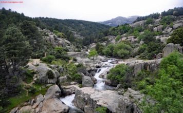 RUTA A CHARCA VERDE EN LA PEDRIZA POR EL CÁLIZ Y EL DEDO DE TADART CON NIÑOS Panorámica de Charca Verde