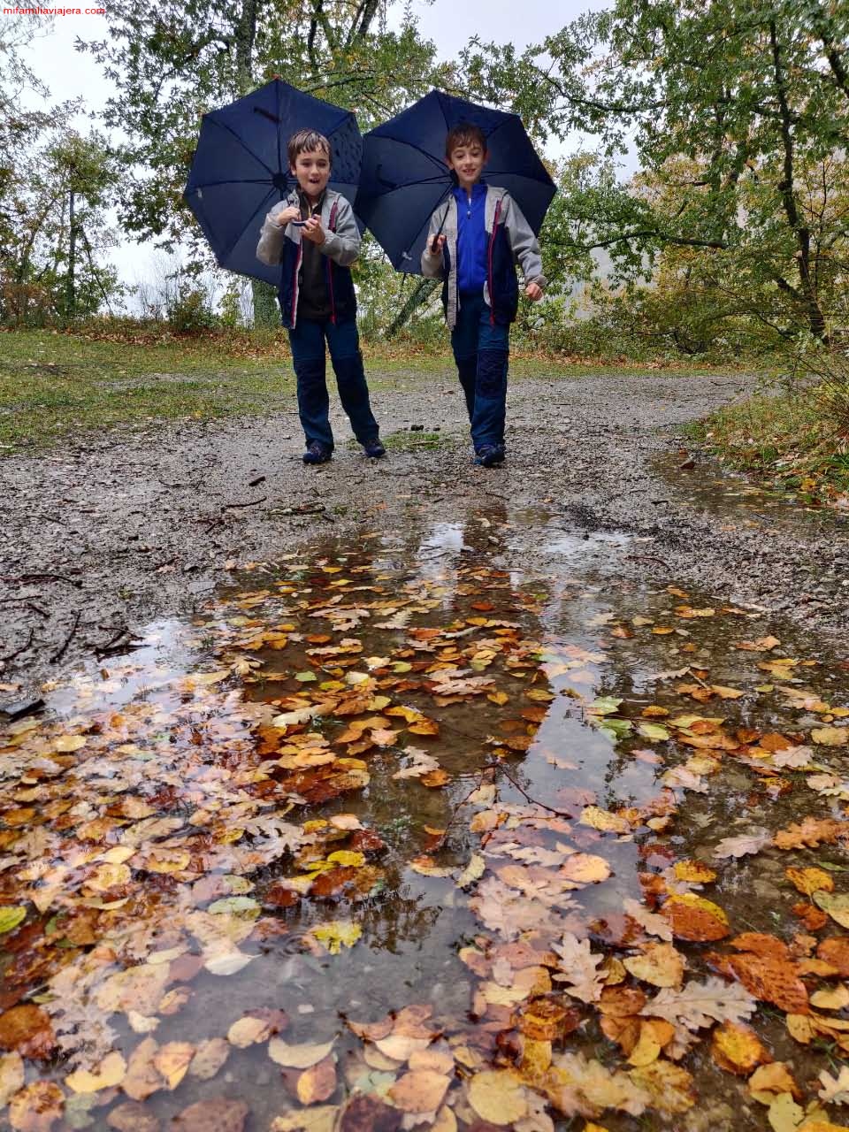 En otoño los bosques se pueden recorrer con paraguas