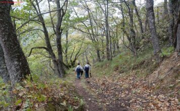 HAYEDO DE LAS ILCES EN PICOS DE EUROPA Ruta por el Hayedo de Las Ilces