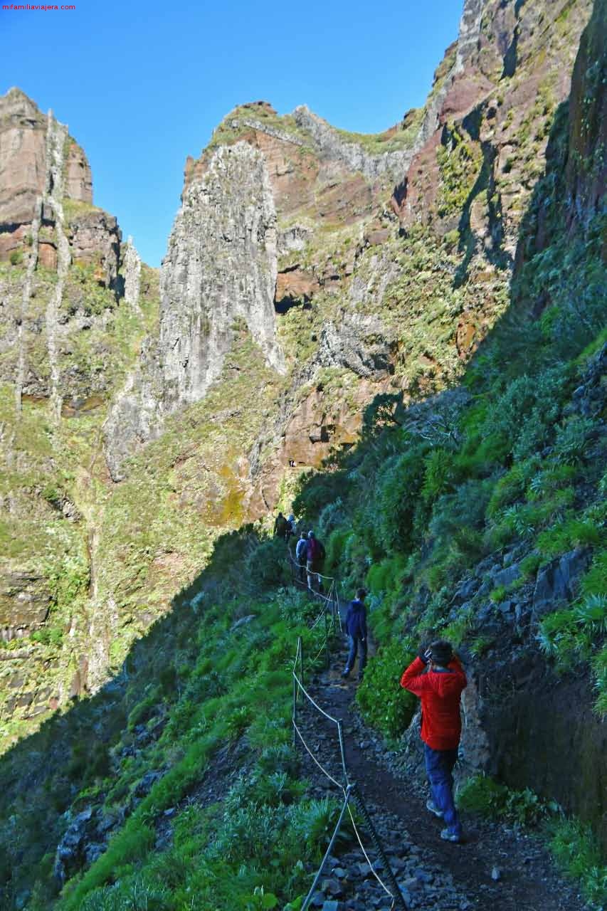 Senda hacia el Túnel  Pico do Gato