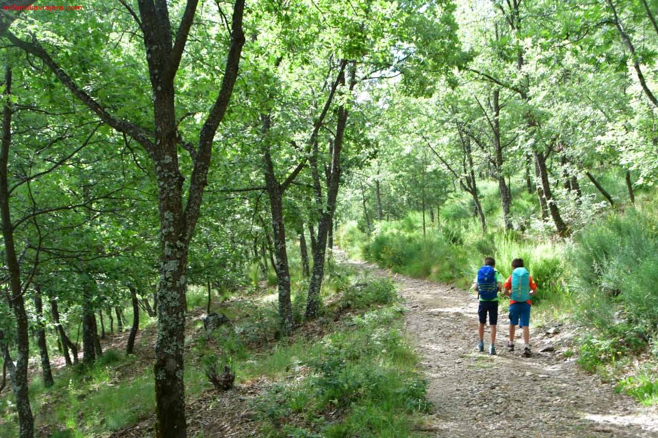 Comienzo de la ruta por una pista amplia por el bosque