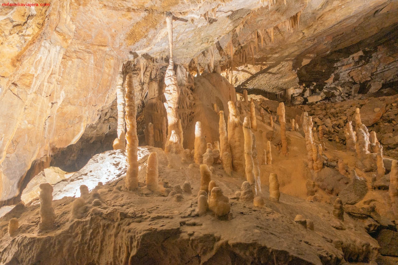 La gruta de Postojna es una cavidad viva con numerosas estalagmitas y estactitas en crecimiento