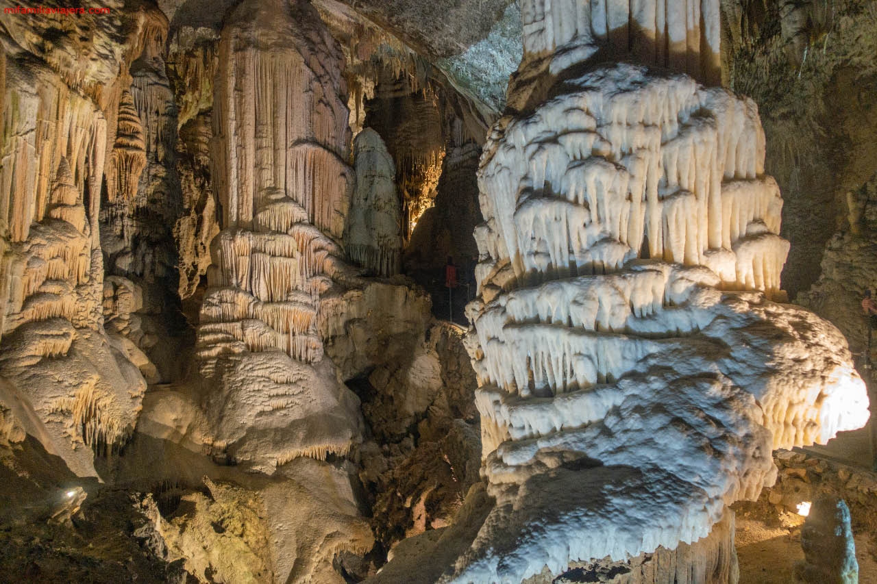 Un guía especializado nos acompañará por el gruta de Postojna