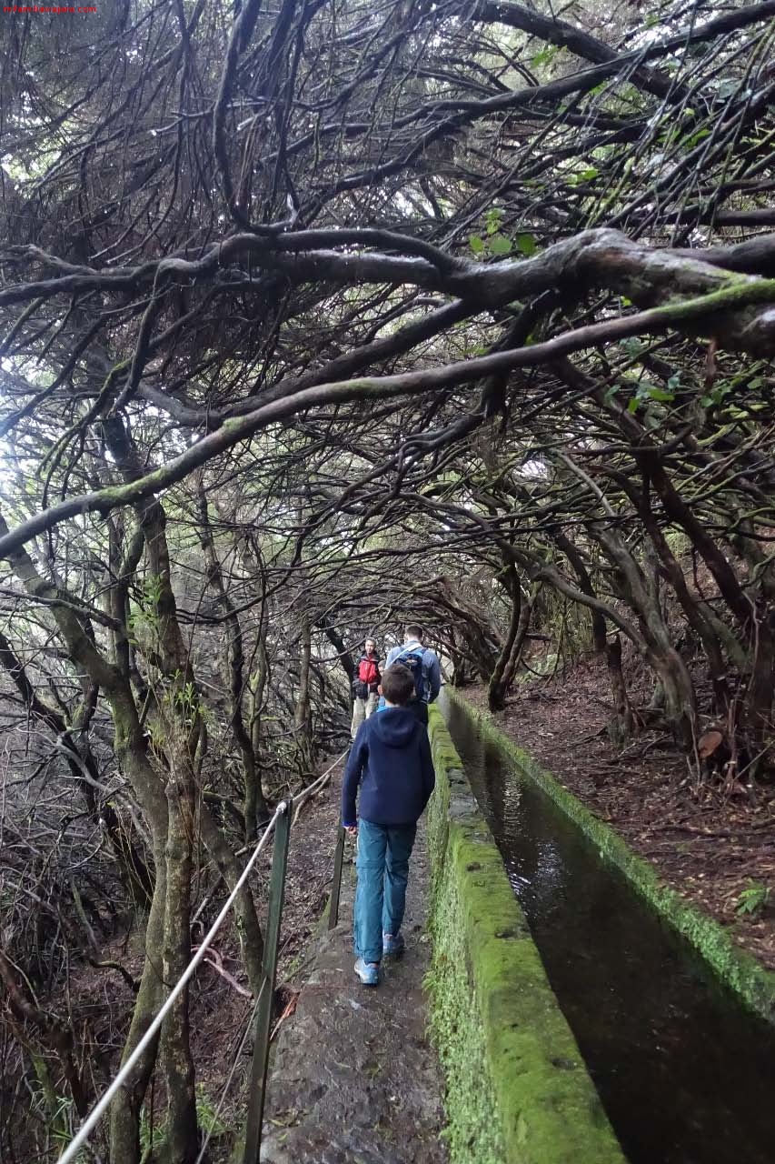 El sendero de la Levada de las 25 Fuentes es estrecho en algunos tramos