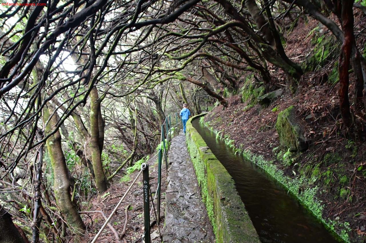 Levada de las 25 Fuentes en Madeira