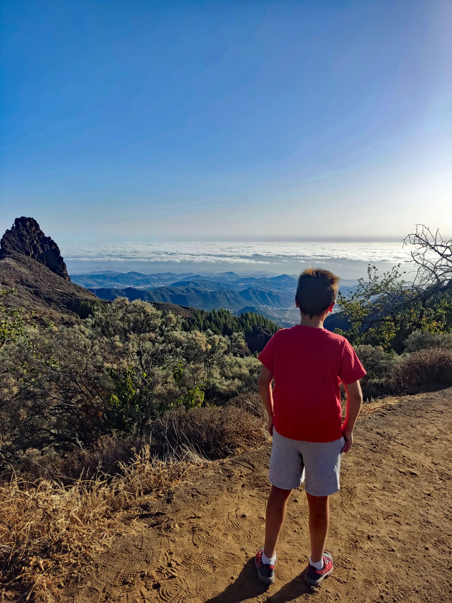 Mirador caldera de los Marteles