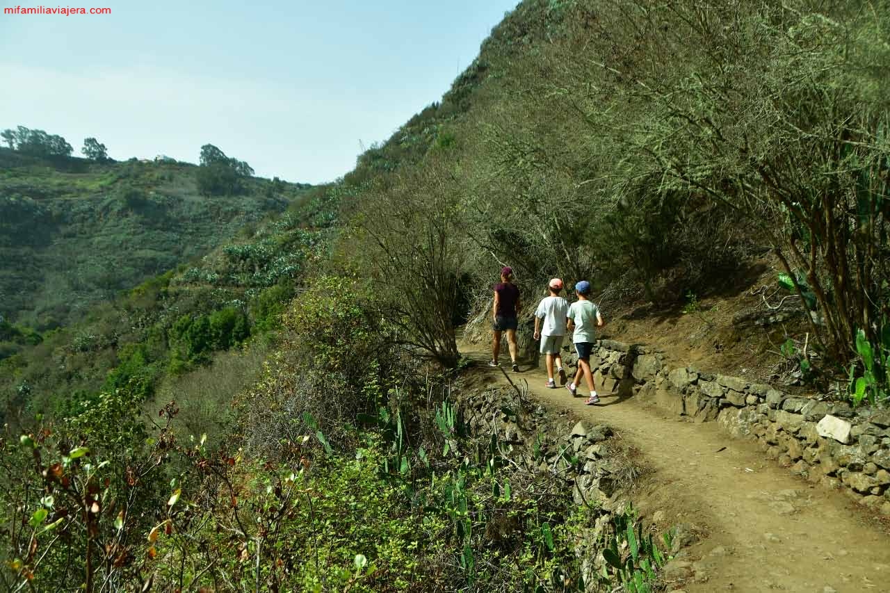 Sendero balizado de los Tilos de Moya en Gran Canaria