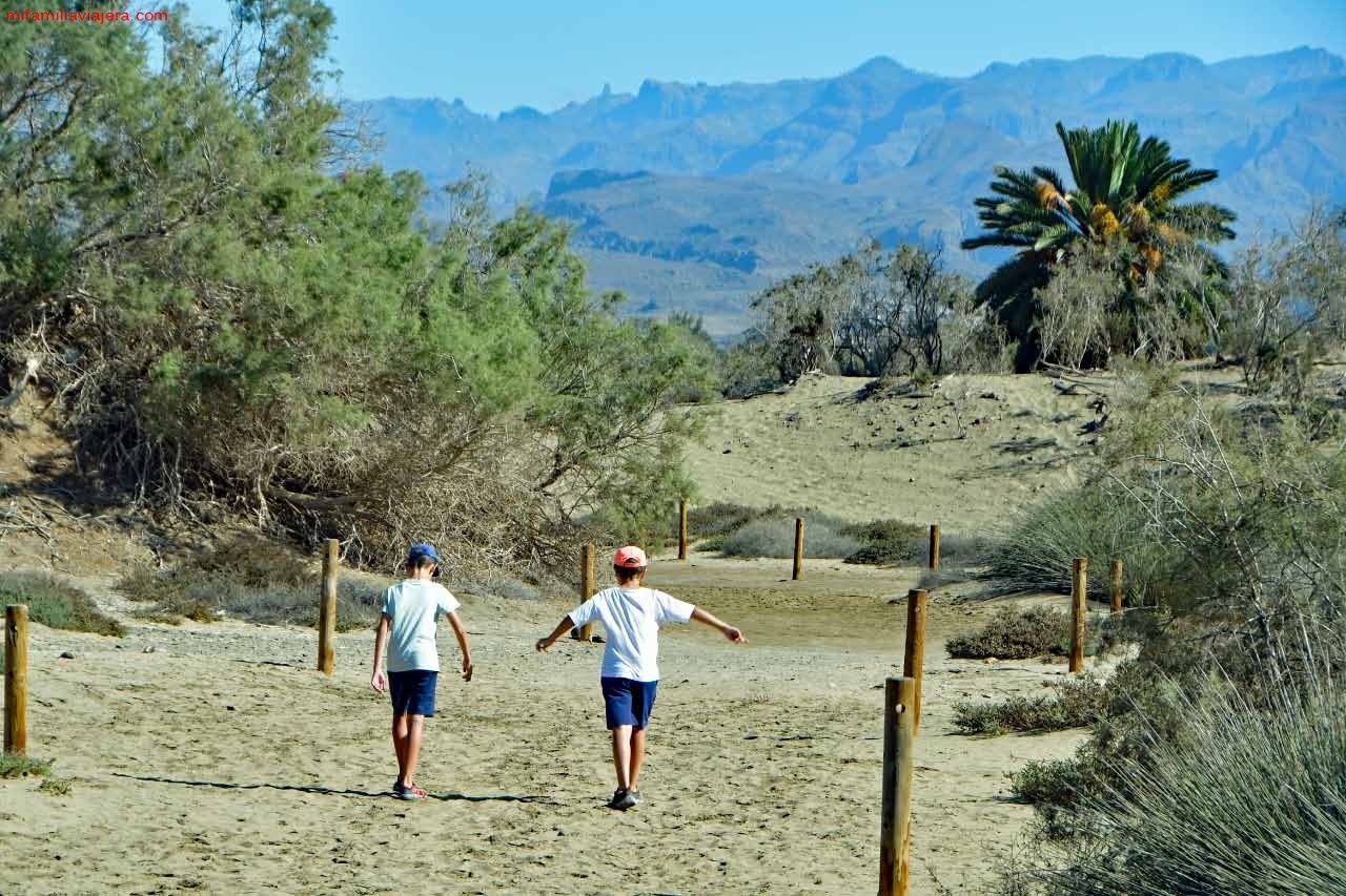 Sendero balizado por las dunas de Maspalomas