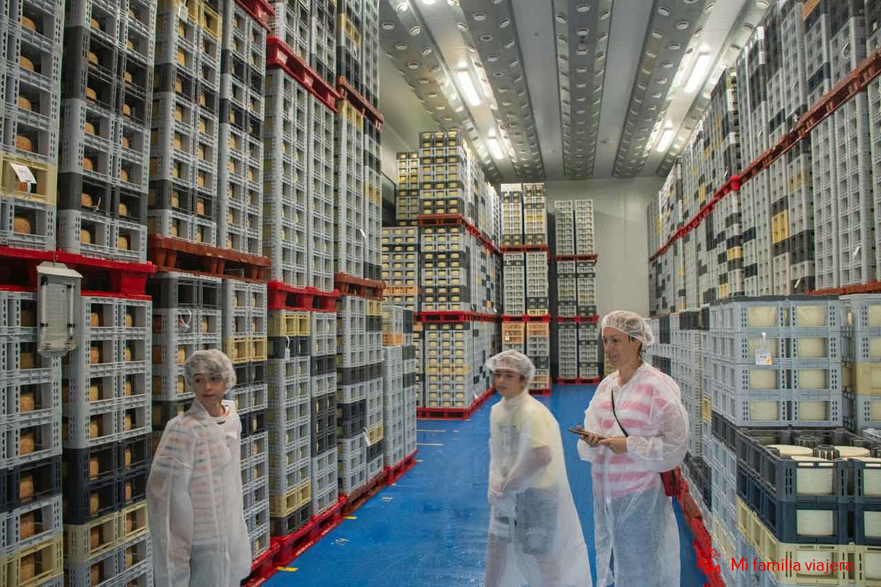 Visita guiada a la quesería Don Apolonio en Malagón