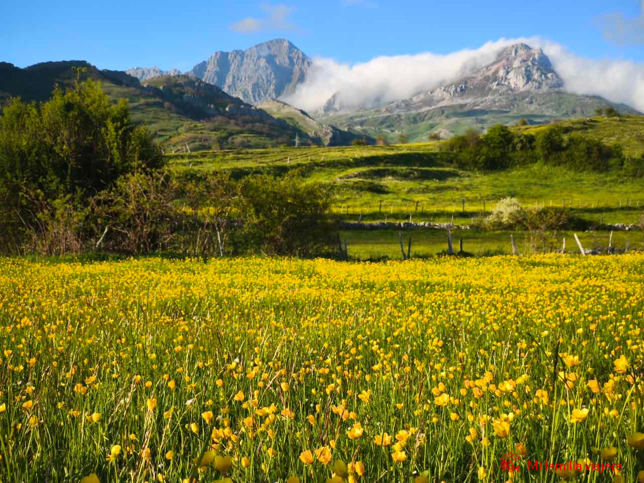 Peña Ubiña desde los prados de San Emiliano