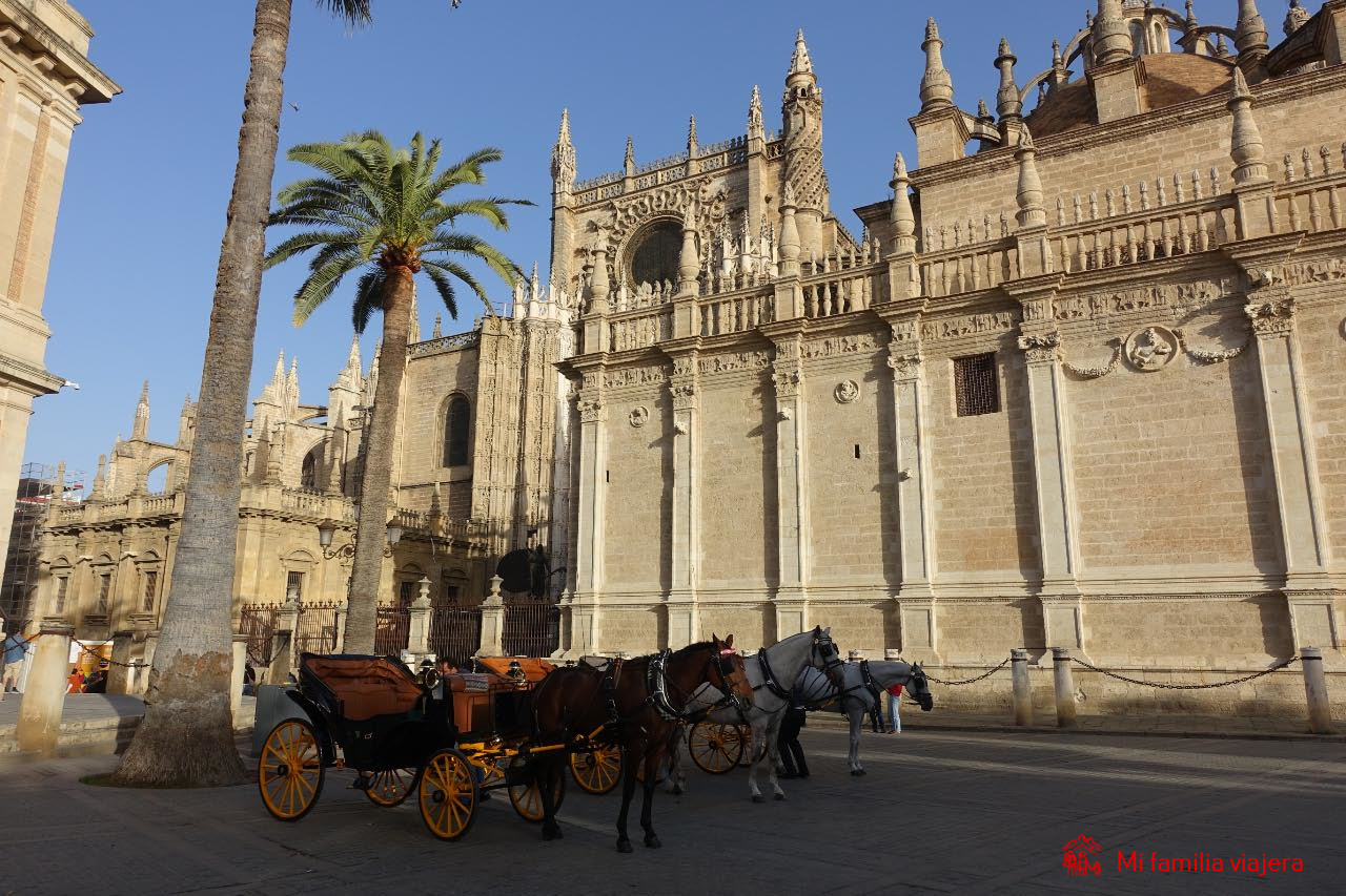 Calesas paradas frente a la Catedral de Sevilla