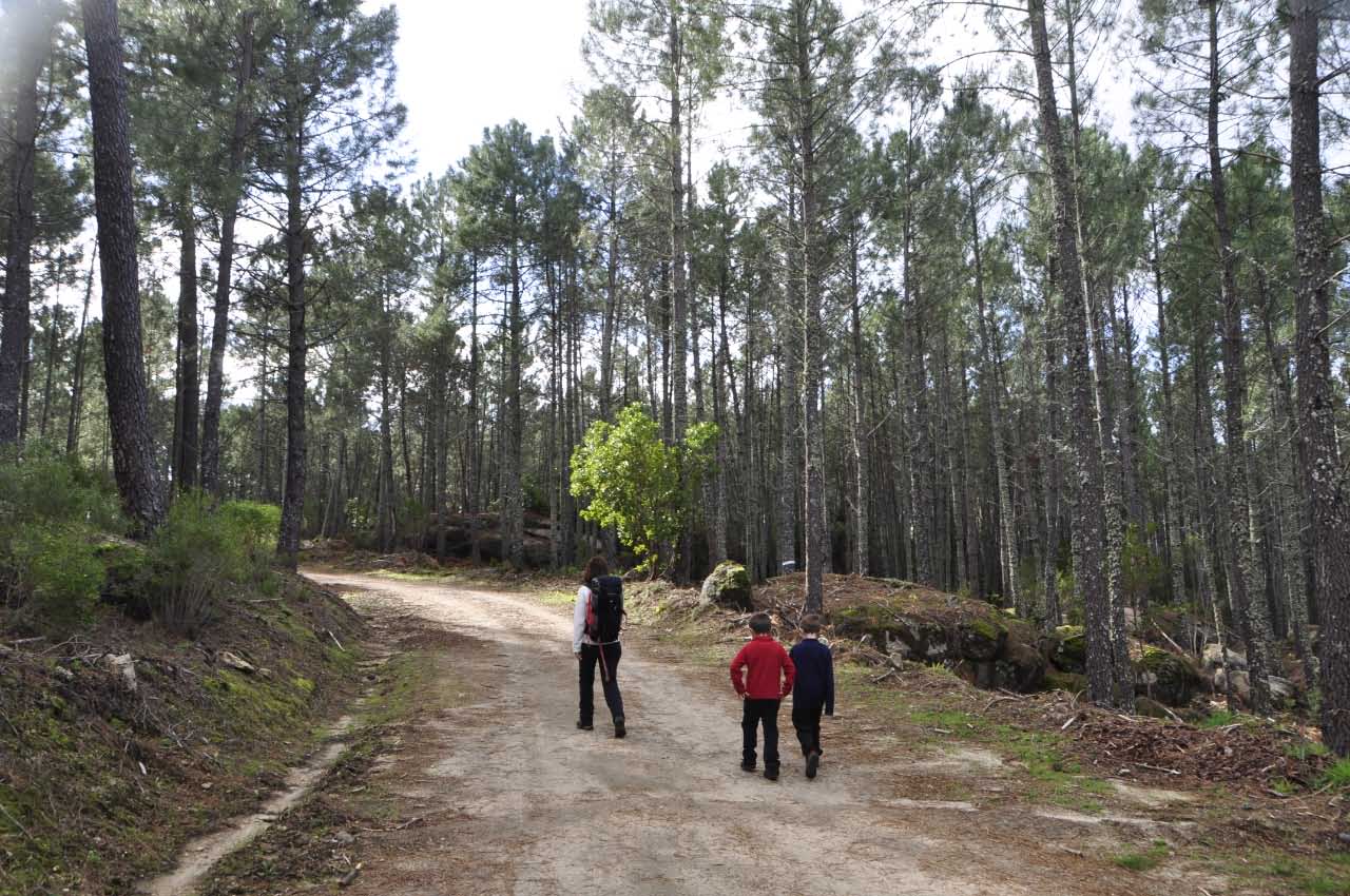 Ruta Cruz de la Tendera en Gredos