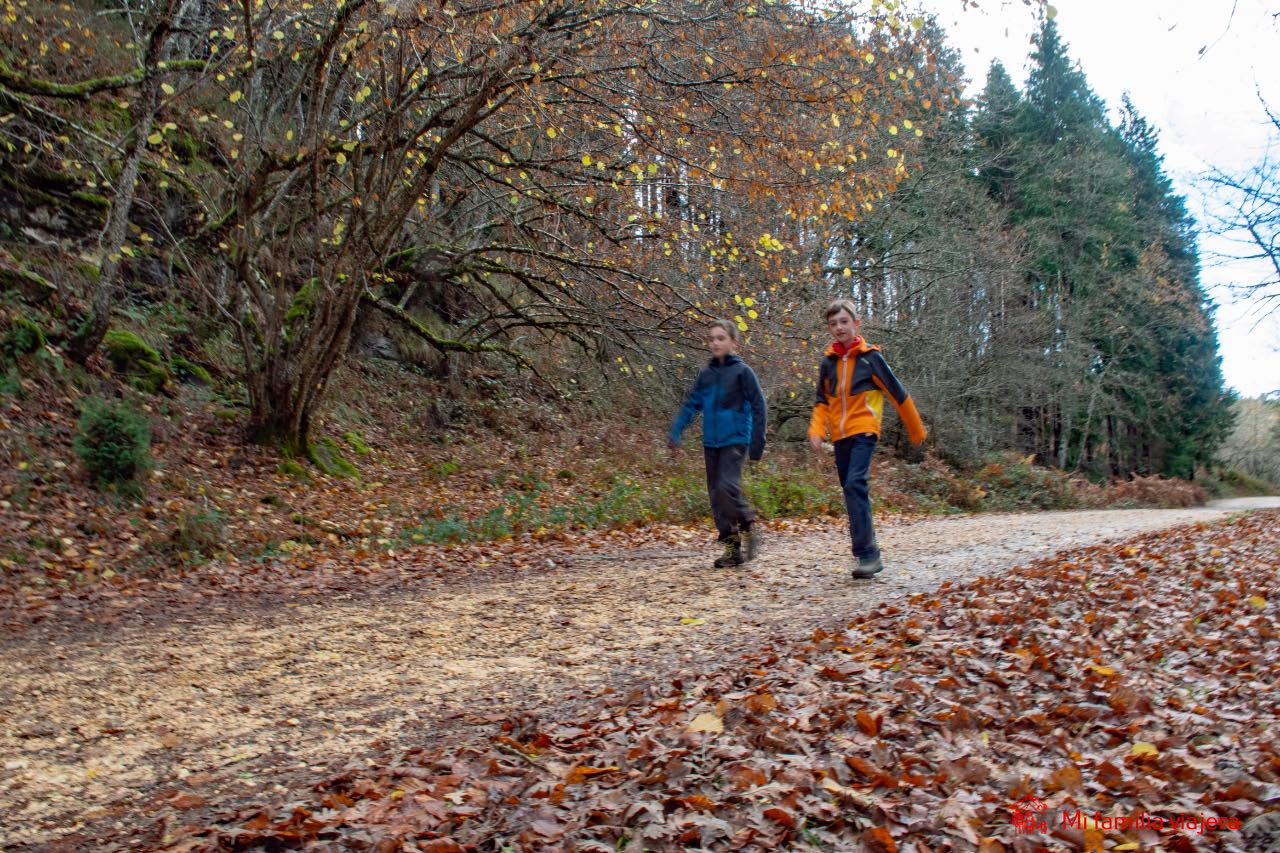 Ruta Hayedo de Altube