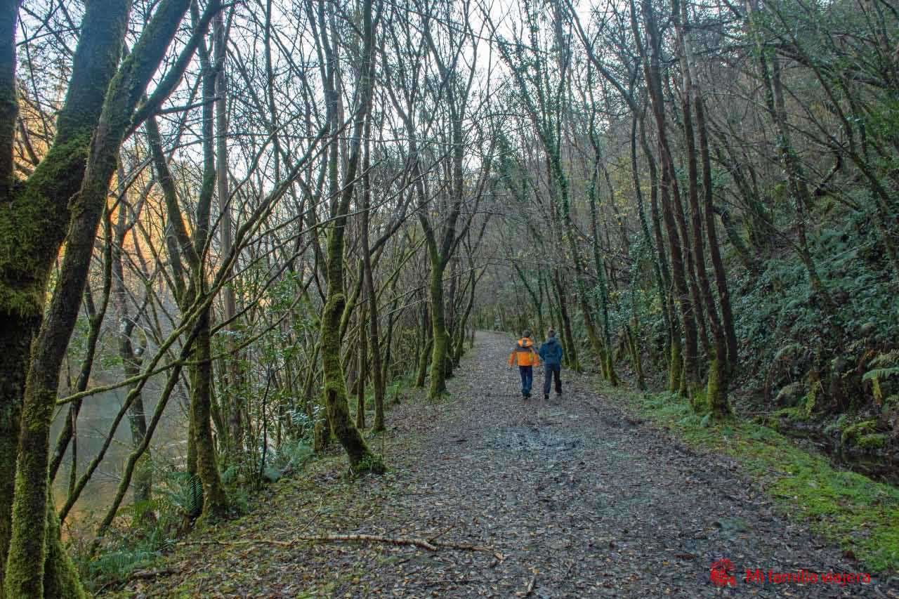 Camino de A Ventureira en Fragas do Eume