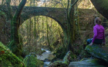 Visitar las Fragas do Eume: qué ver, cómo llegar y rutas imprescindibles Ruínas del molino del Sesín en Fragas do Eume