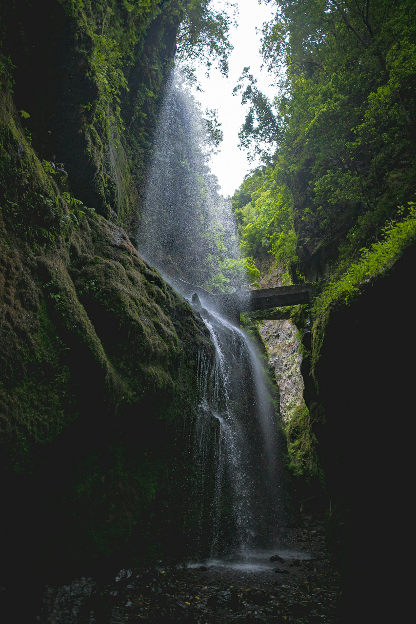 Cascada de Los Tilos en la isla de La Palma